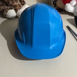NEW   Hard Hat 