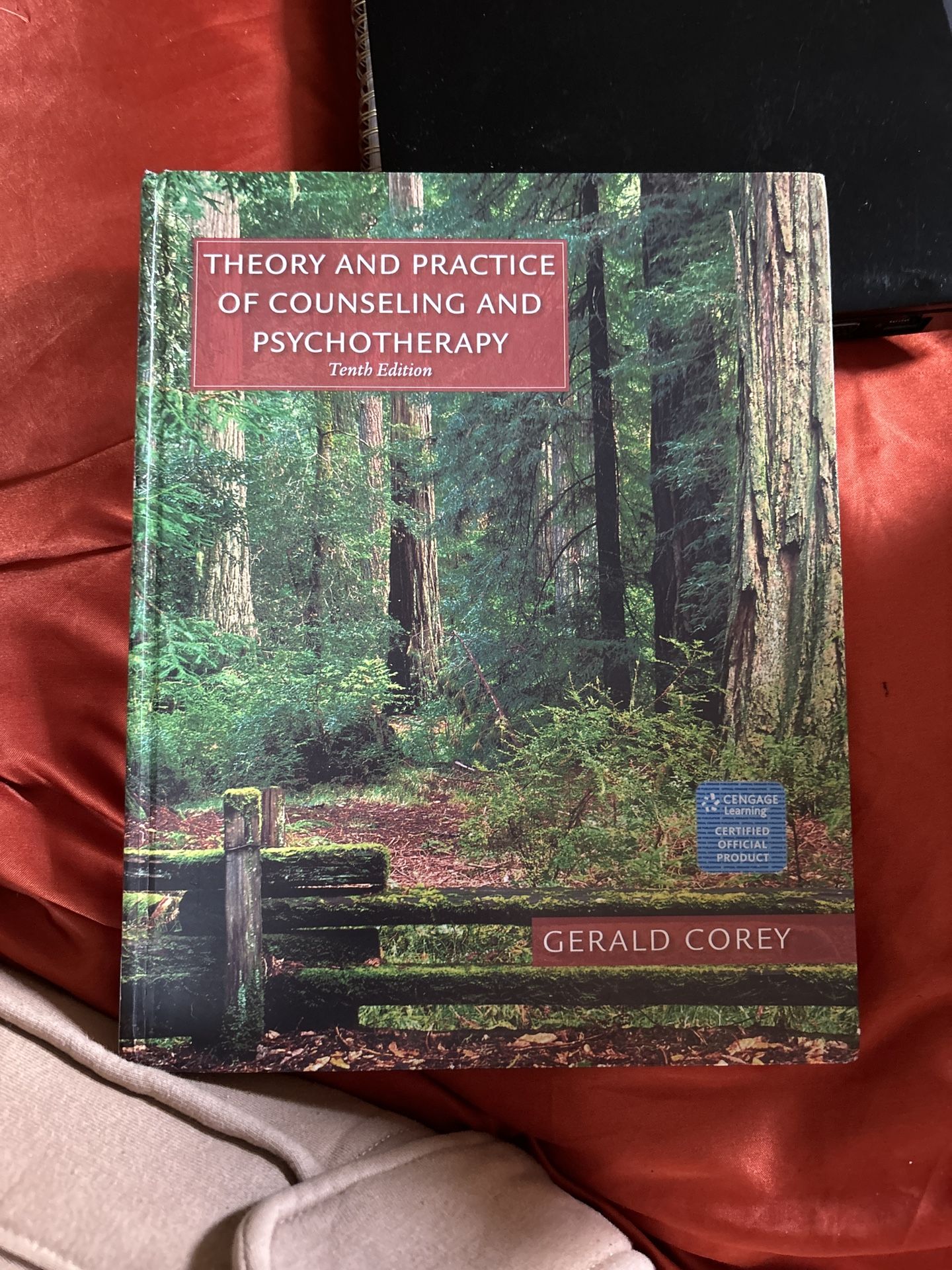 Theory & Practice Counseling Therapy Book