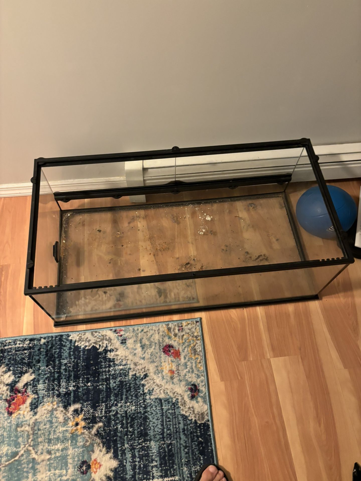 Reptile Tank and Glass And Metal Tv Stand