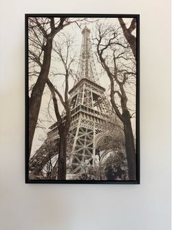 Framed picture