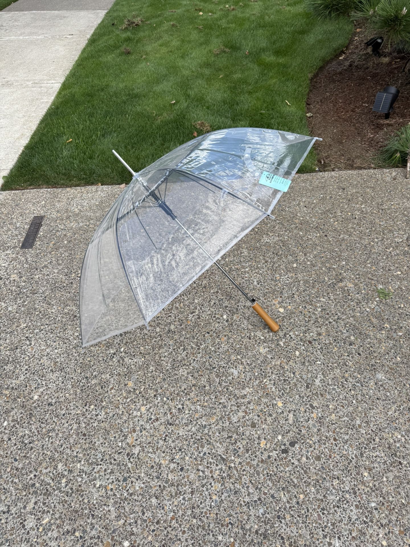 Clear Umbrellas. 77 of them! Rainy Day Wedding Cover!