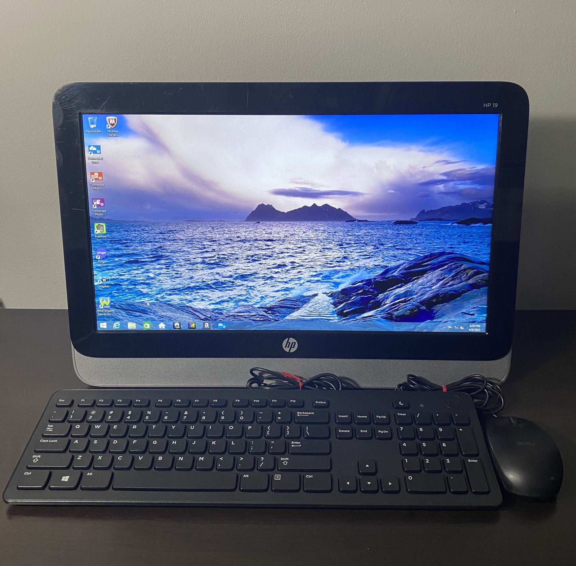 HP 19 All In One Computer 2114