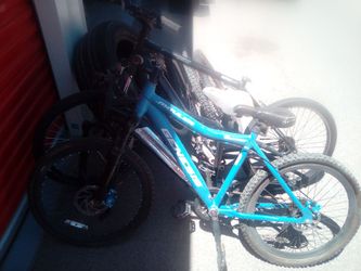 24" Genesis  mountain bike