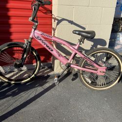 Dyno Bike