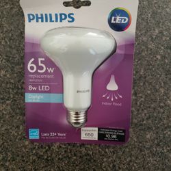 4 Phillips Daylight Lightbulbs