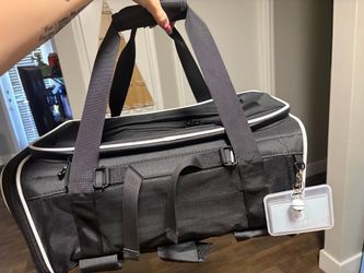 Travel pet carrier
