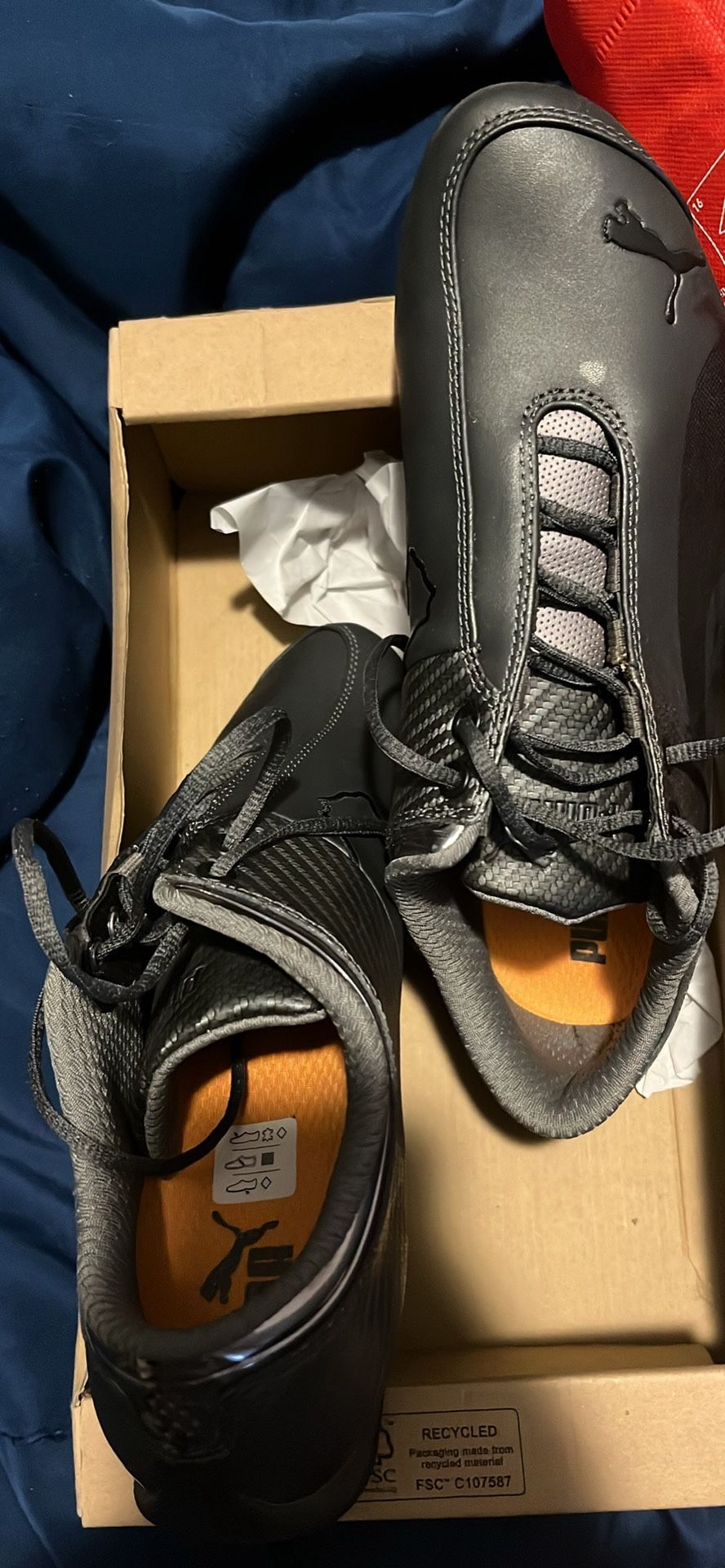 Puma Men Show Size Ten