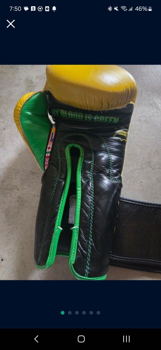 Title Leather Boxing Gloves WBC Edition