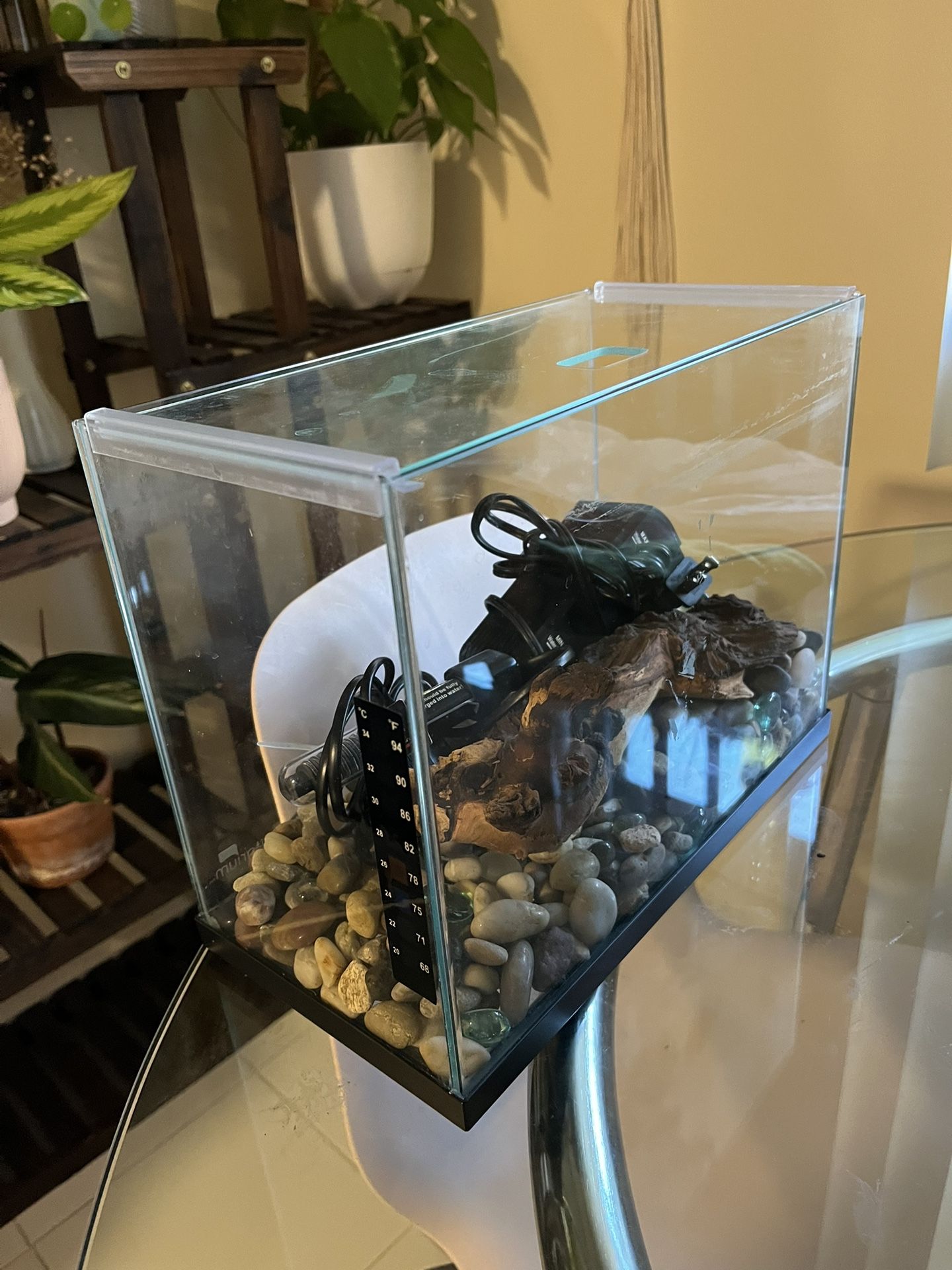 2.5 Gallon Tank With Filter And Heater 