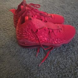 LeBron 17 Red Carpet Basket Ball Sneakers