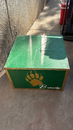 Cheerleader stand