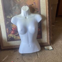 Mannequin Display