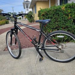 Raleigh Mountain 16” Bike 