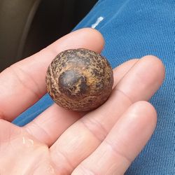 Fossil Of Some Kind For Sure