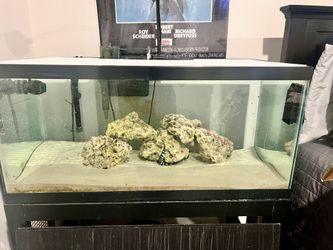 40 Breeder Tank With Metal Stand