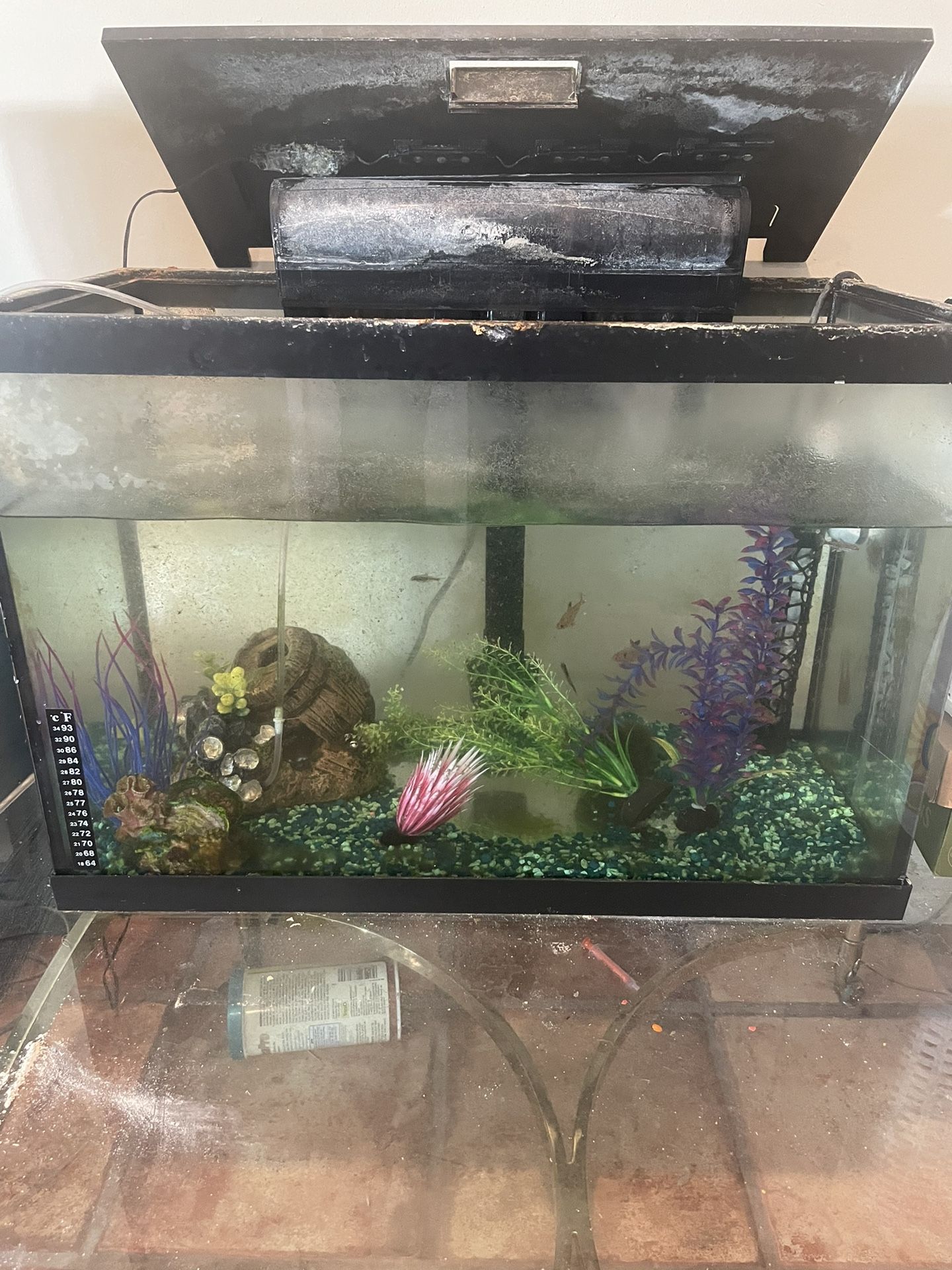 Aquarium
