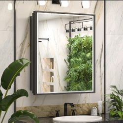Medicine Cabinet With Mirror 
