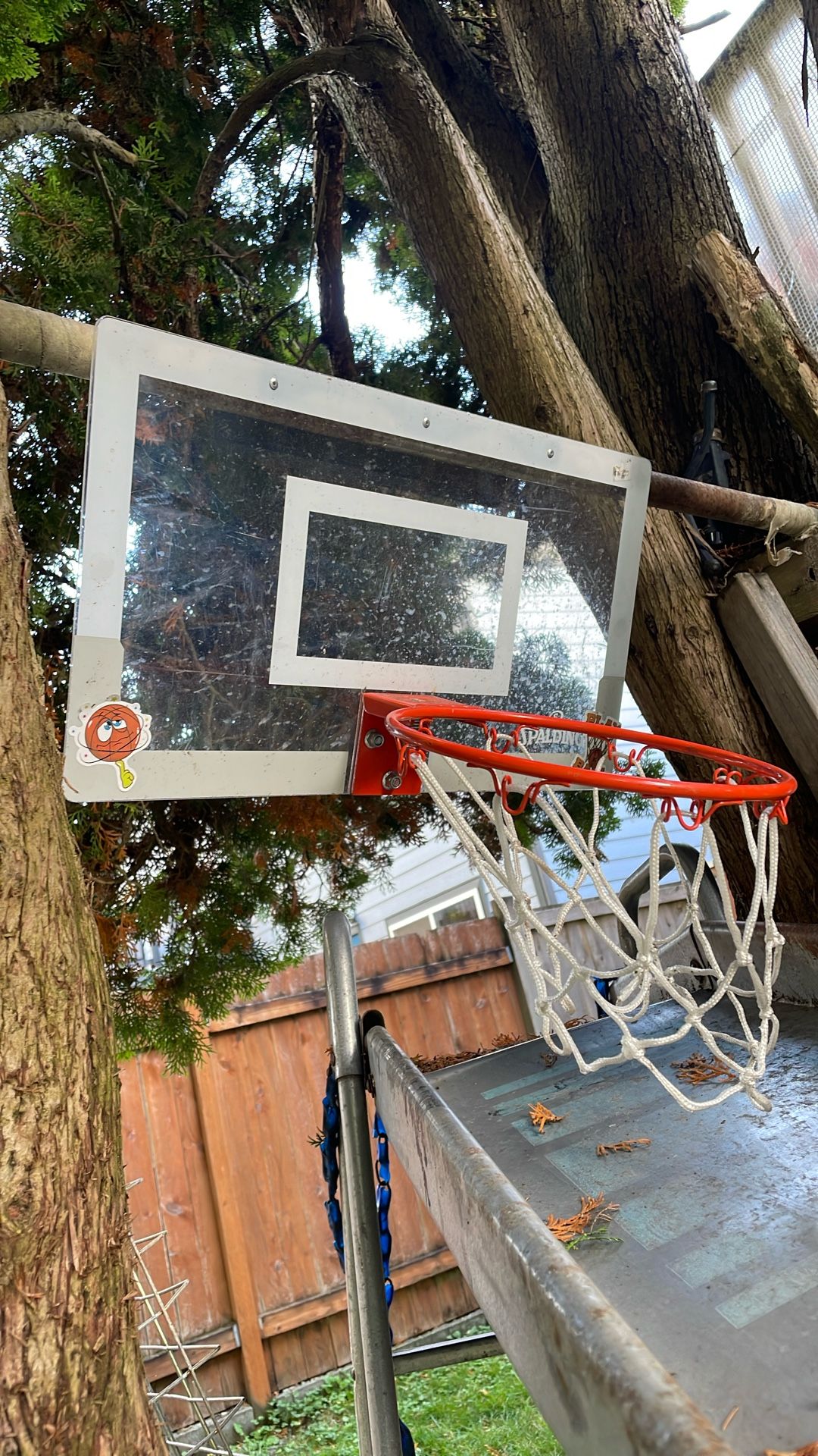 Mini Basketball Hoop