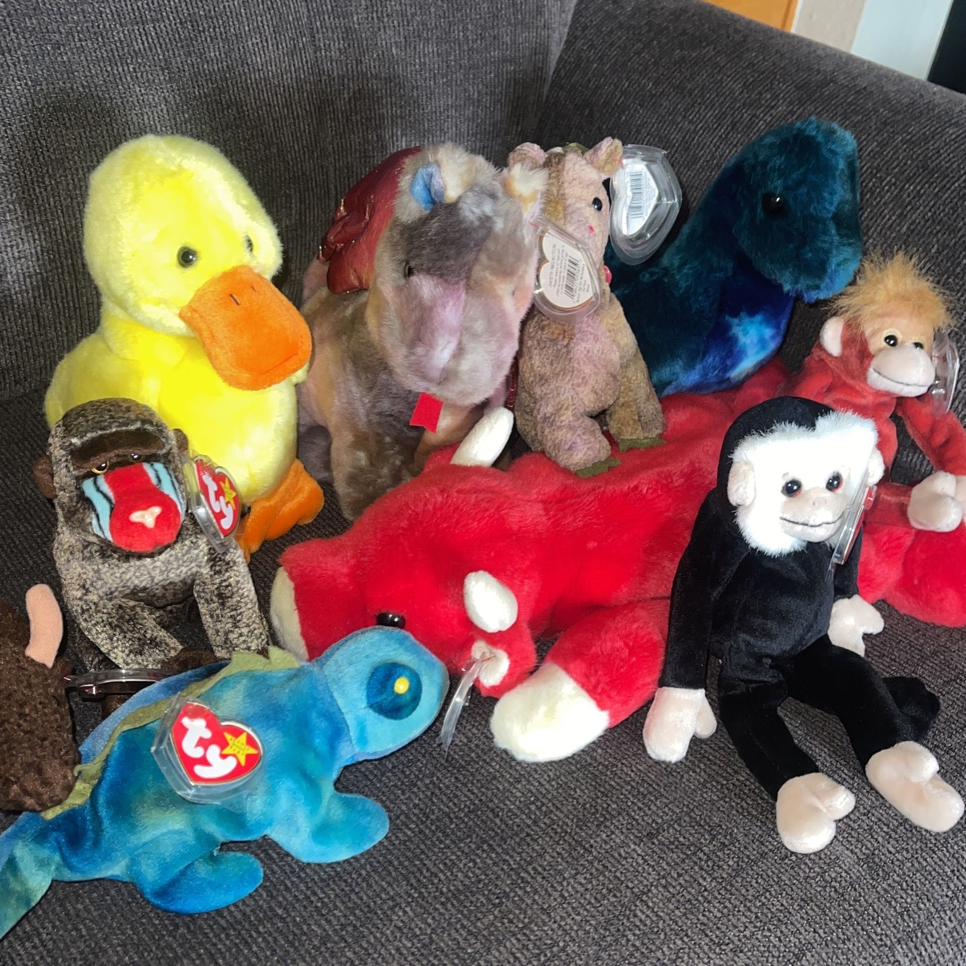 My Old Beanie Babies With Tags 