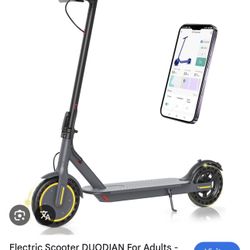 Duodian Electric Scooter 