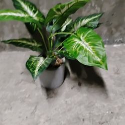 Indoor Artificial Plant with Pot