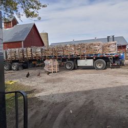 Firewood fir Sale