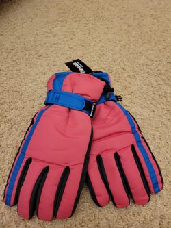 3m Thinulate 40 G Snow Gloves