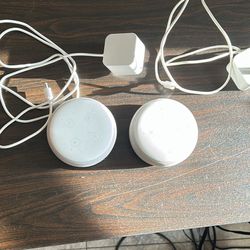 Amazon Echo Dot’s