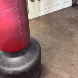 Ltd Kids Size 3 Lyric Jr 