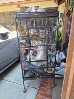 Birdcage.
