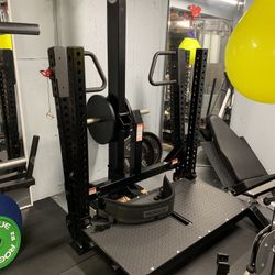 Rogue Rhino Belt Squat