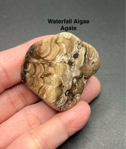 Waterfall Algae Agate -Wyoming 38g RARE