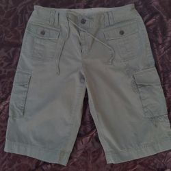 Womens Banana Republic Bermuda Shorts Sz 14 Sage