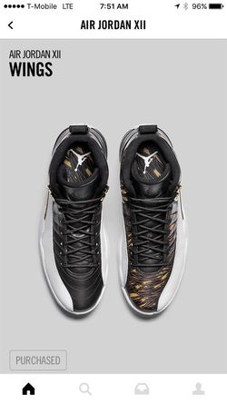 Limited Release Jordan 12 Wings
