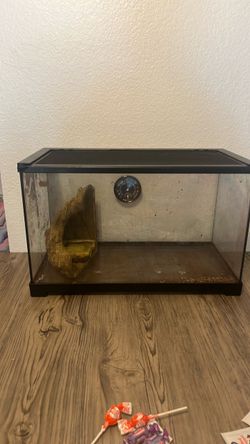 Reptile tank