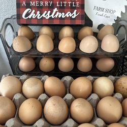 Fresh Farm Eggs / Huevos Frescos