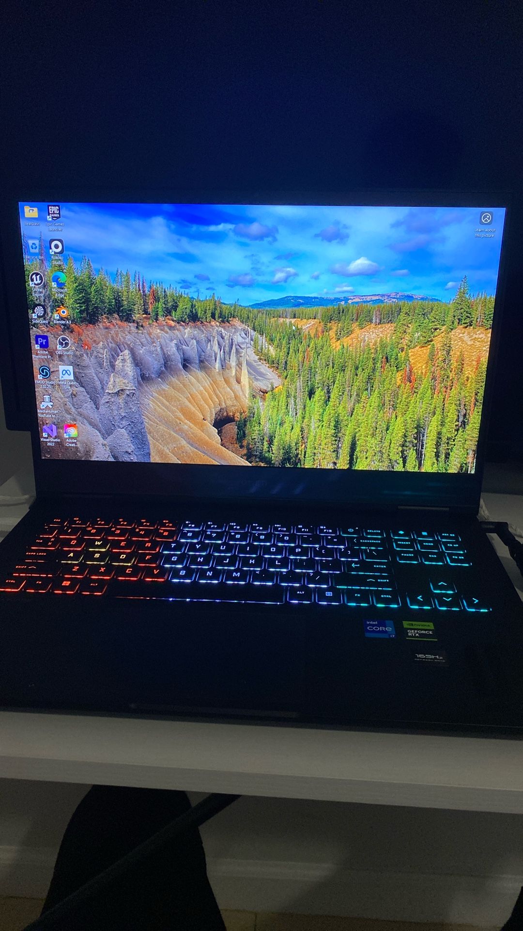 Omen Gaming Laptop