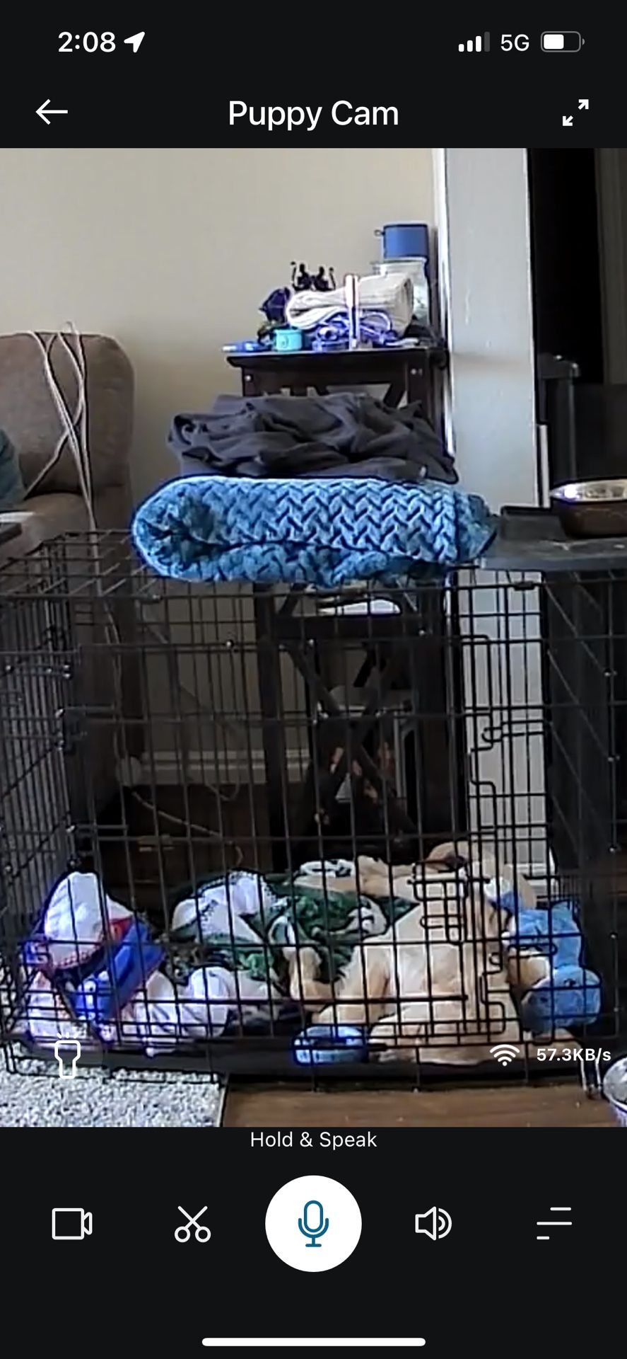 2 Door Gently Used Collapsible Large Dog Crate