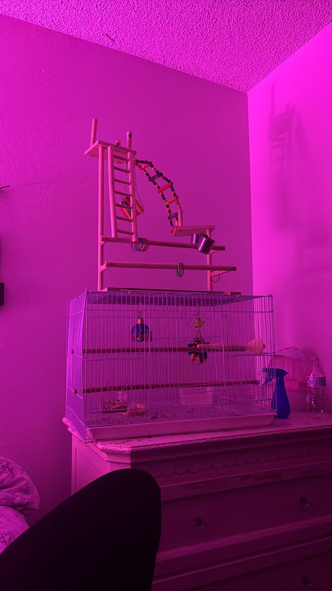 Bird Cage / Play Ground / Food