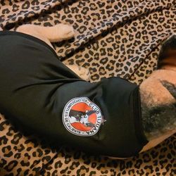 Tijuana Xolos Liga MX Pet Dog Cat Clothes Clothing Shirt New Futbol Soccer