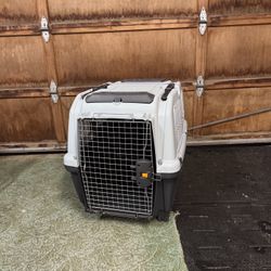 Pet Travel Carrier