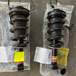 Pair Front Shock Struts Assys