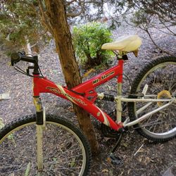 Roadmaster Mountain Bike 