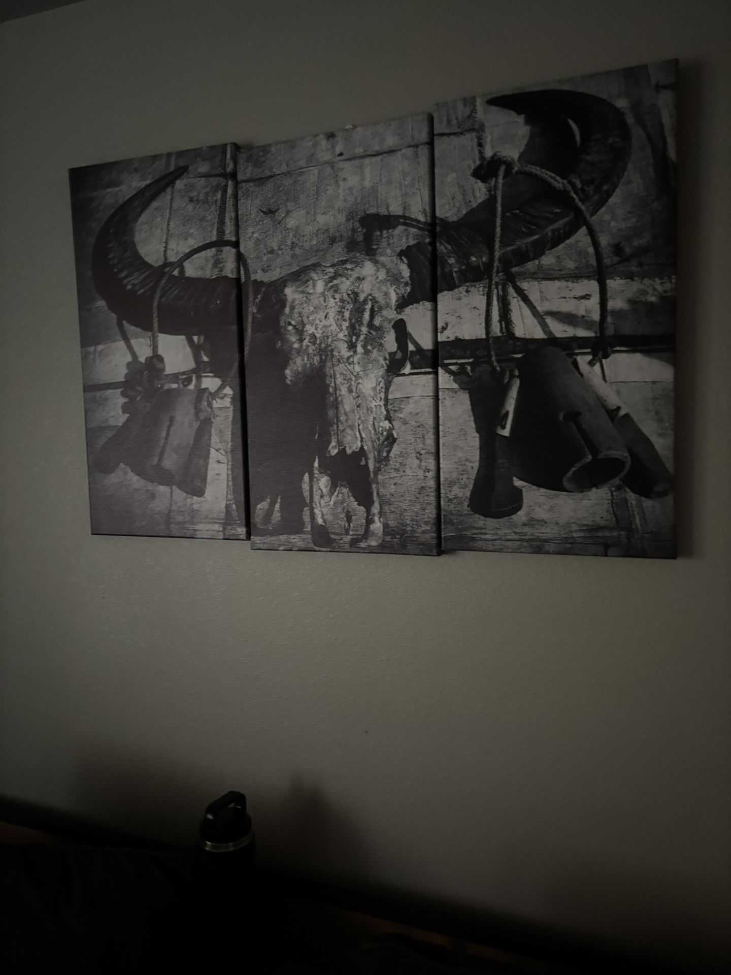 Bull Skull Picture. $15