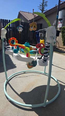 Baby Jumper Activity Center $35 Near Hosking And Akers #93313