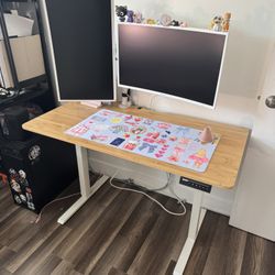 Standing Desk 