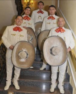 Guitarron mariachi trompeta