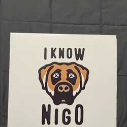 I Know Nigo Limited KAWS edition Vinyl