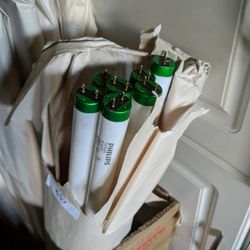 Lot Of Phillips 32W 4' Tubes X 43