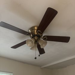 Fan